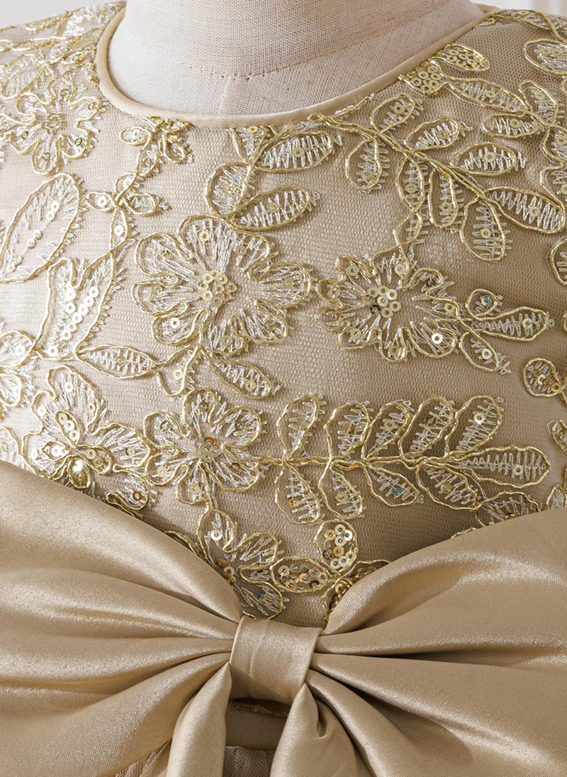 babyqlo Girls Gold Embroidered Tulle Party Dress